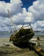 Img11.png