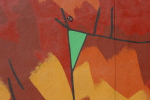 dsc_3031a.png